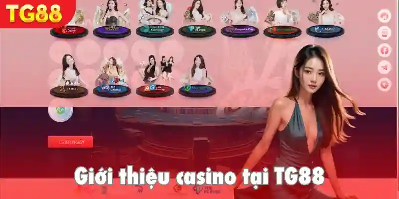 Giới thiệu sơ về casino TG88