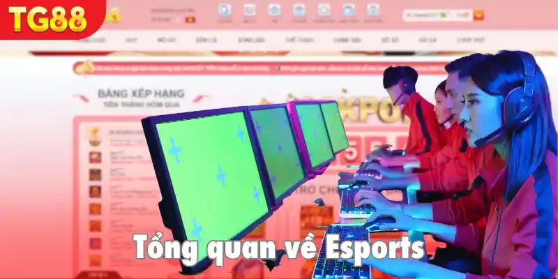 Khám phá thế cược thể thao điện tử đầy thú vị